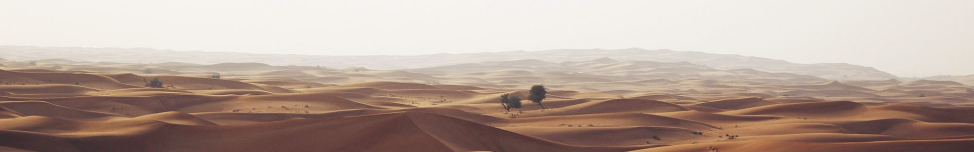 ݾе޹˾